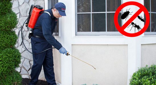 Karacabey Pire İlaçlama böcek ilaçlama ve haşere kontrolü — ilaclama-tr.com